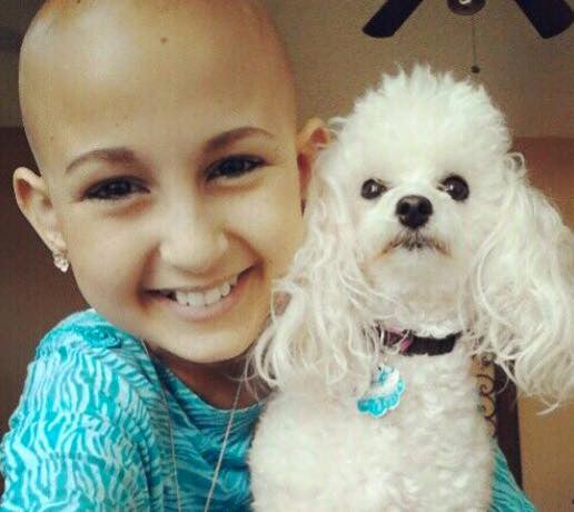 Talia Joy's Pet Walk